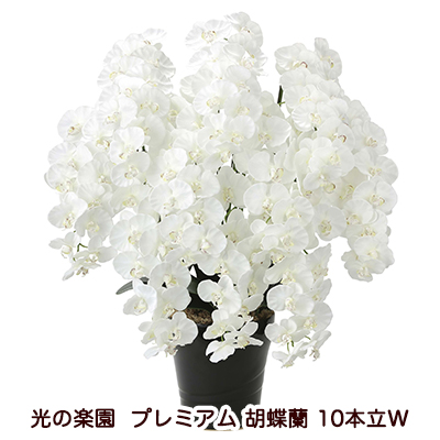 光触媒人口植物 造花 観葉植物 アレンジメント 46a350 71 プレミアム おしゃれ かわいい 新築祝い 開店祝い 光の楽園 誕生日 個人様購入可能 送料無料 光の楽園 46a350 71 プレミアム 胡蝶蘭 10本立w 京都のちょっとセレブな企業専門店