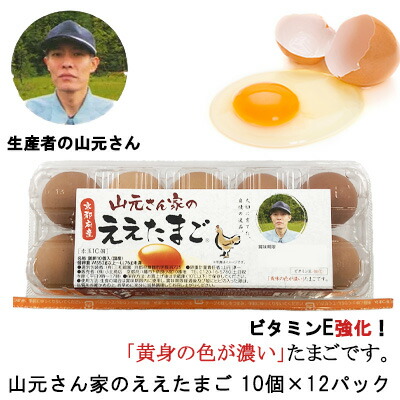 【ポイント5倍 期間限定】【個人様購入可能】●山元さん家のええたまご 10個×12パック 卵 玉子 たまご タマゴ 送料無料 41000