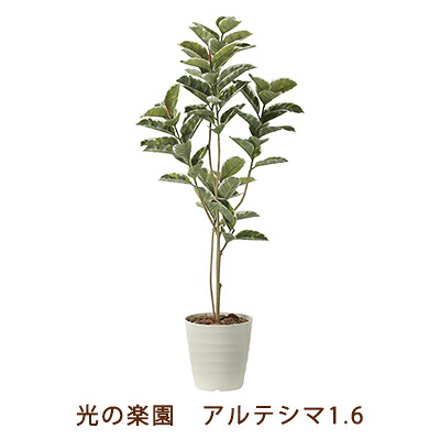 【ポイント3倍 7/19 20時から】【個人様購入可能】●光の楽園 (2219A280-28) アルテシマ 1.6 送料無料 99461|京都のちょっとセレブな企業専門店