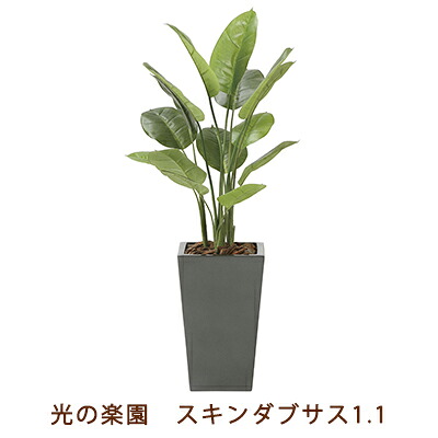 【ポイント3倍 7/19 20時から】【個人様購入可能】●光の楽園 (2239K360-30) スキンダブサス 1.1 送料無料 99465｜京都のちょっとセレブな企業専門店 27,568円