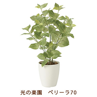 【ポイント3倍 7/19 20時から】【個人様購入可能】●光の楽園 (2271K100-59) ペリーラ 70 送料無料 99489｜京都のちょっとセレブな企業専門店