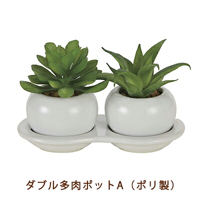 【個人様購入可能】●光の楽園 (2109A25-67) ダブル 多肉 ポット A ( ポリ製 ) 送料無料 99503