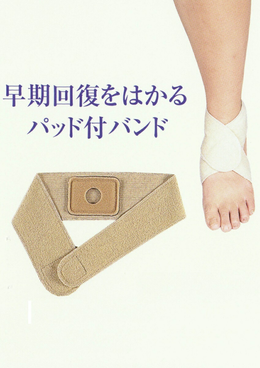 楽天市場】ワンタッチバンド 足首用レギュラータイプ 〔サイズL