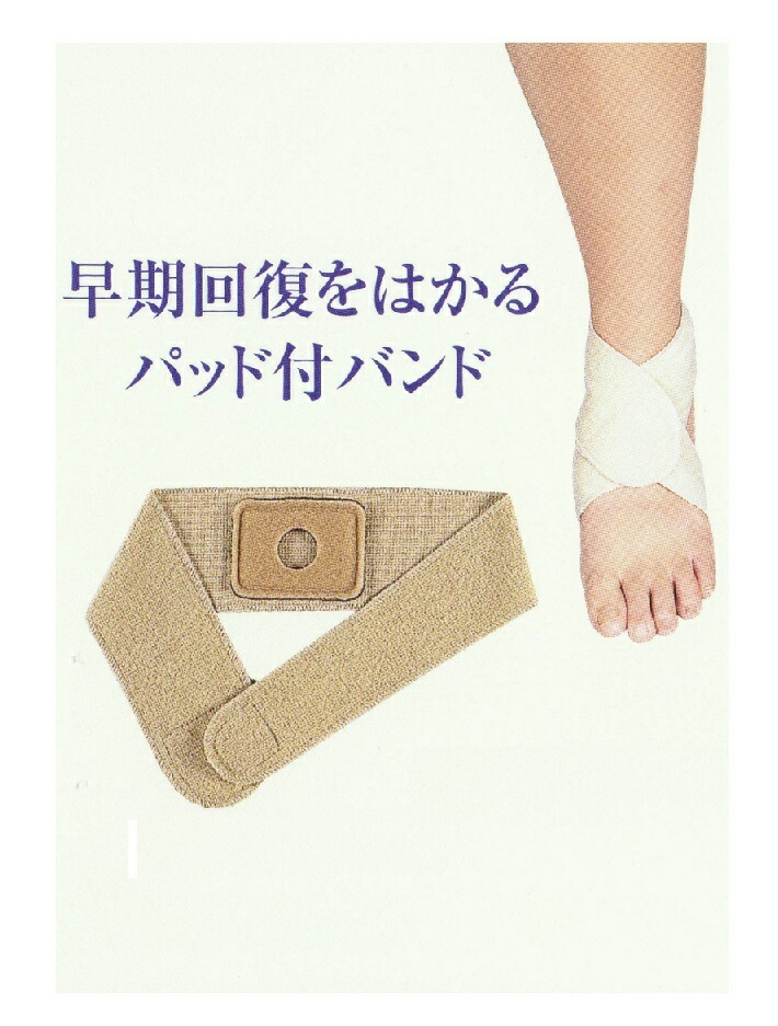 楽天市場】ワンタッチバンド 足首用レギュラータイプ 〔サイズL
