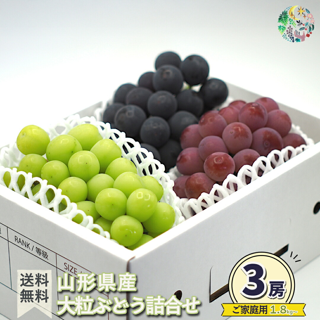 油絵　（葡萄）ぶどう　ブドウ　巨峰　シリーズ3 Amazon.co.jp: 油絵 葡萄 3号Fサイズ 【油絵 直筆絵画】 : おもちゃ