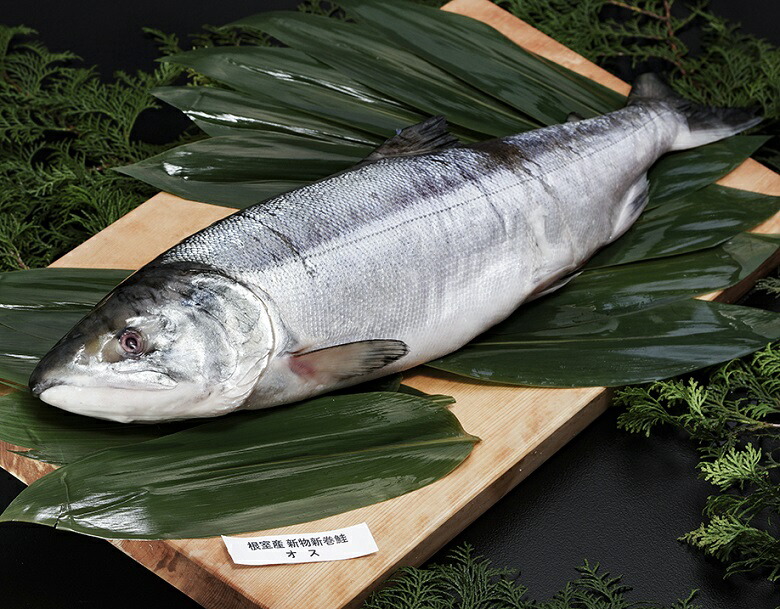 楽天市場】豊洲セリ人監修 銀だら・銀むつ（メロ）西京漬けセット 100g×各5P 合計10P ※冷凍 送料無料 : 豊洲からの直送便