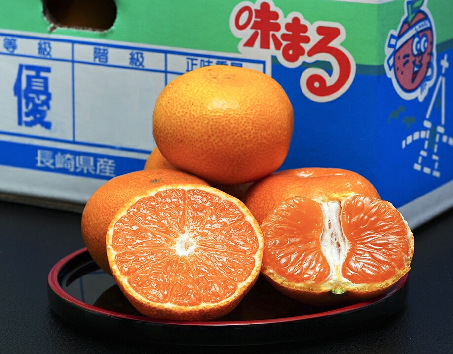 楽天市場】西浦みかん通販 JAなんすんブランド極早生みかん販売 お