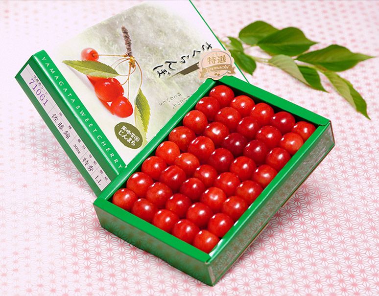 ハウスさくらんぼ（佐藤錦 または 紅秀峰）山形県産 特秀品 L～3L 約300g 化粧箱　送料無料　※冷蔵