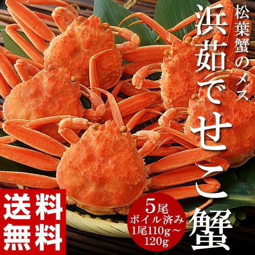 浜茹でせこ蟹　兵庫県香住産 5尾入り （ボイル済み1尾：約110g～120g）※冷凍 送料無料
