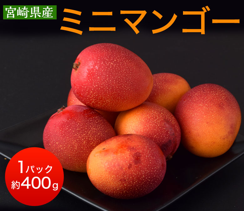 マンゴー 宮崎県産 ミニマンゴー 約400g 目安として3~8玉 マンゴー 宮崎県産 ミニマンゴー 約400g 目安として3~8玉