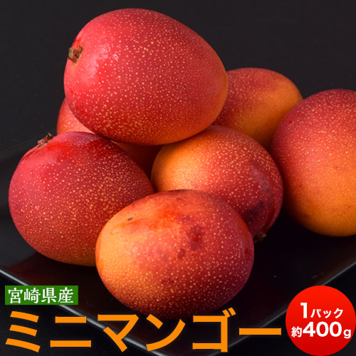 マンゴー 宮崎県産 ミニマンゴー 約400g 目安として3~8玉 マンゴー 宮崎県産 ミニマンゴー 約400g 目安として3~8玉