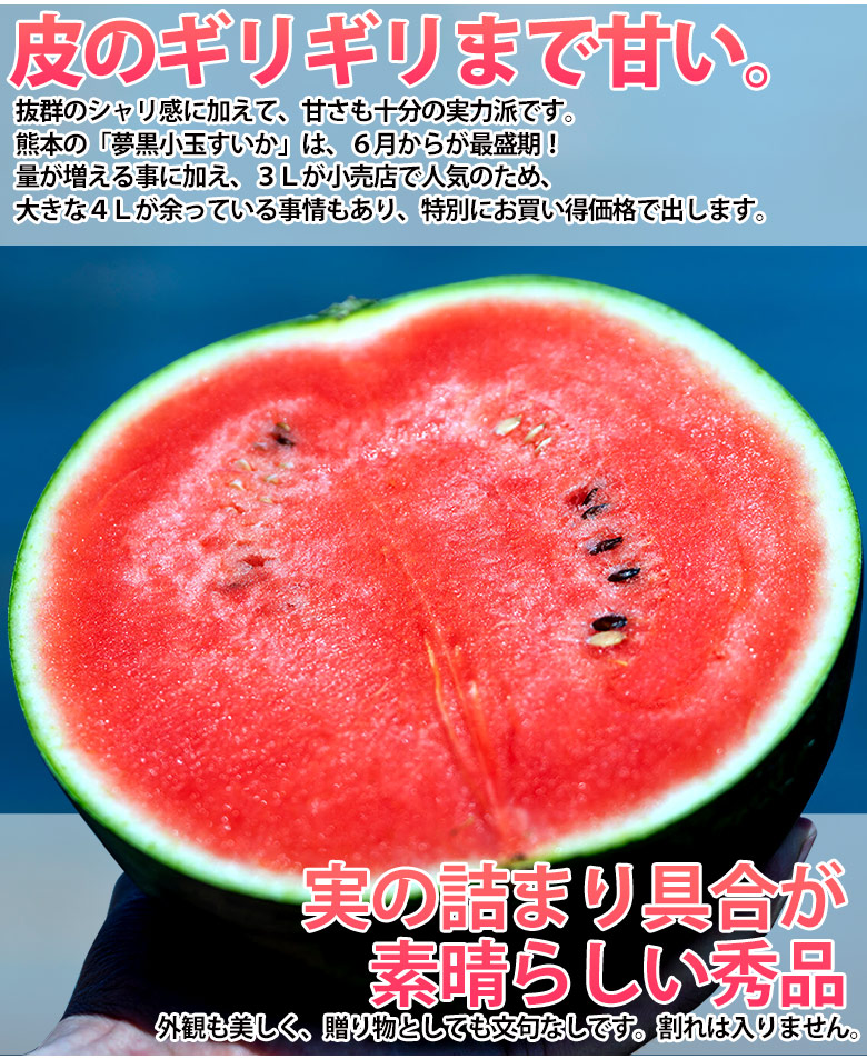 楽天市場 すいか スイカ 西瓜 熊本県産 夢黒小玉すいか 4l 1玉 1箱 秀品 3kg 送料無料 豊洲からの直送便 楽天市場 すいか スイカ 西瓜 熊本県産 夢黒小玉すいか 4l 1玉 1箱 秀品 3kg 送料無料 豊洲からの直送便