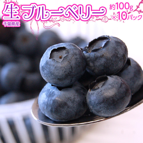 千葉県産 生ブルーベリー 約100g×10個 ※冷蔵 セール ５５％以上節約 特集 送料無料