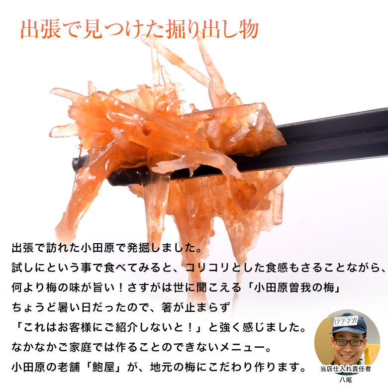 楽天市場 創業430年 鮑屋の梅水晶 100g 5袋 小田原 曽我の梅肉使用 おつまみ 肴 うめ ウメ 冷凍 送料無料 豊洲からの直送便 楽天市場 創業430年 鮑屋の梅水晶 100g 5袋 小田原 曽我の梅肉使用 おつまみ 肴 うめ ウメ 冷凍 送料無料 豊洲からの直送便