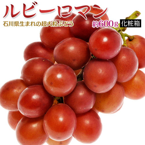 楽天市場 石川県産 大粒ぶどう ルビーロマン 約600g 化粧箱入 冷蔵 送料無料 豊洲からの直送便