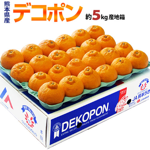 『デコポン』 熊本県産柑橘 約5kg 15～24玉 産地箱入 ※常温 送料無料