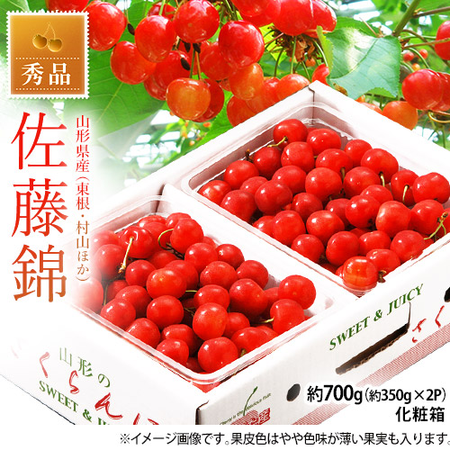 『佐藤錦』山形県産 露地さくらんぼ Lサイズ 秀品 約700g（約350ｇ×2P）※冷蔵【産地直送】 送料無料