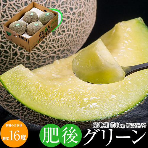 大玉『肥後グリーン』 計約8kg（4～5玉) 産地箱 2～4L 優品以上 熊本県産 メロン 八代・宇城産ほか ※常温 送料無料