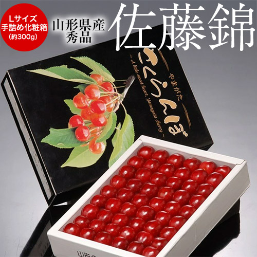 『佐藤錦』山形県産 露地さくらんぼ Lサイズ 秀品 約300g 手詰め化粧箱 ※冷蔵【産地直送】 送料無料