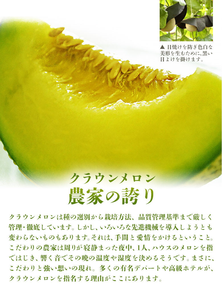 楽天市場 メロン クラウンメロン 静岡県産 産地箱 クラウンメロン小玉6玉 6kg以上 等級 白以上 送料無料 豊洲からの直送便