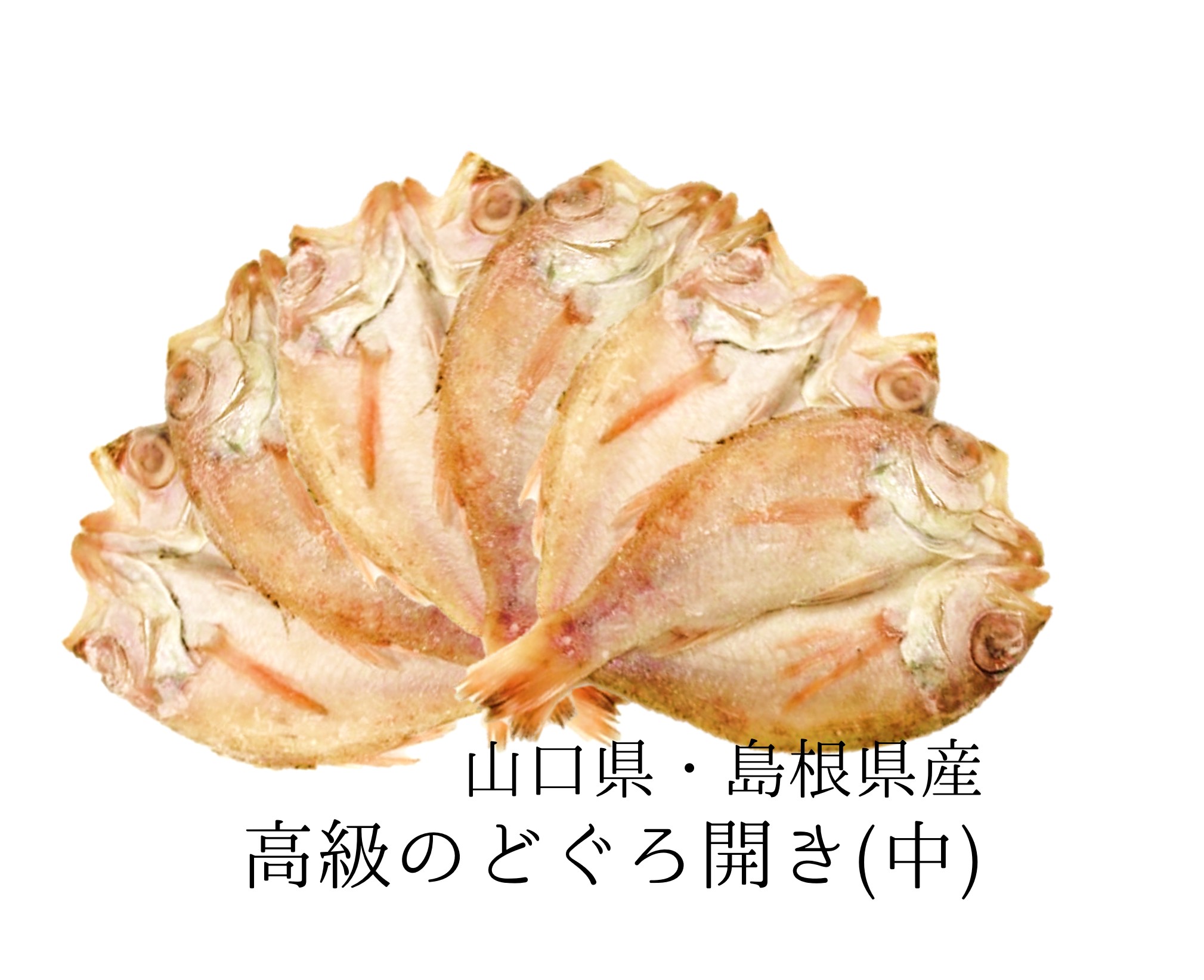 お歳暮 ギフト のどぐろ 高級干物 中サイズ 約130-150g &times;6尾入 豊洲直送 敬老の日 冷凍 のどぐろ干物(一夜干し)(ノドグロ/のど黒) 高級 ギフト 御礼 贈り物 贈答用【ノドグロ１４０ｇｘ６】 冷凍｜Okawari　店