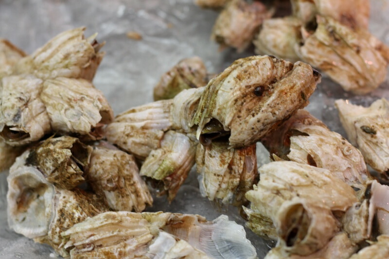 楽天市場 珍味 ふじつぼ 青森産 1kg 豊洲直送 フジツボ 富士壺 フジツボ１k 冷蔵 Okawari 楽天市場店