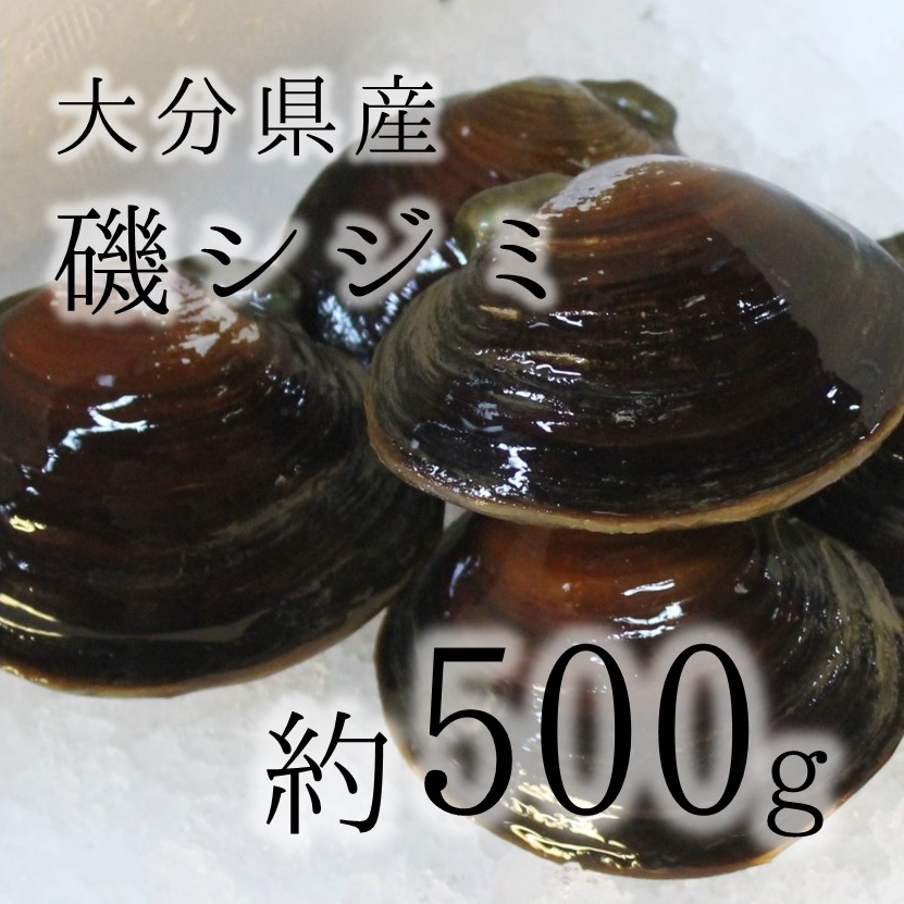 楽天市場 磯シジミ 豊洲直送 大分県産他 約500g 約50 60g 1枚 高級貝類 イソシジミ 酒蒸し旨し Okawari 楽天市場店