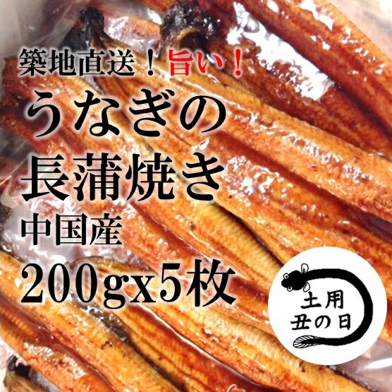 ウナギの蒲焼き 特大200g x 5尾 1キロ分！ボリューム満点！築地直送 うなぎの長蒲焼き 鰻【うなぎ２００ｇｘ５尾】 冷凍