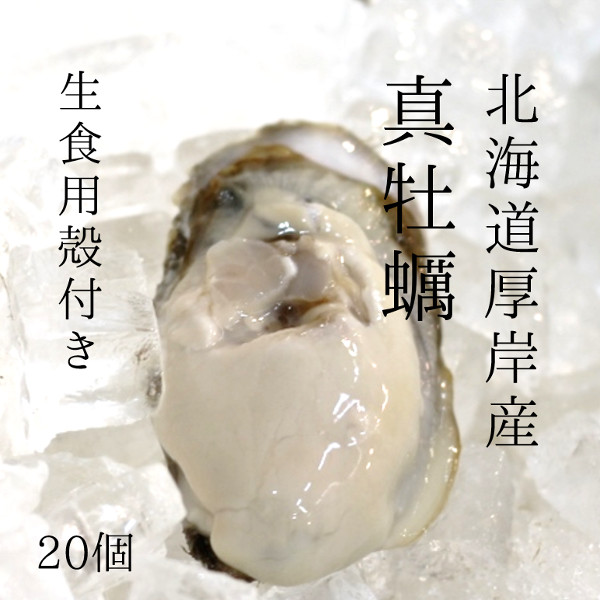 殻付き牡蠣　厚岸産 北海道 生食用 100-120g/個（Ｌサイズ） 計20個 真牡蠣 カキ かき【厚岸牡蠣100-120gx20個】 冷蔵