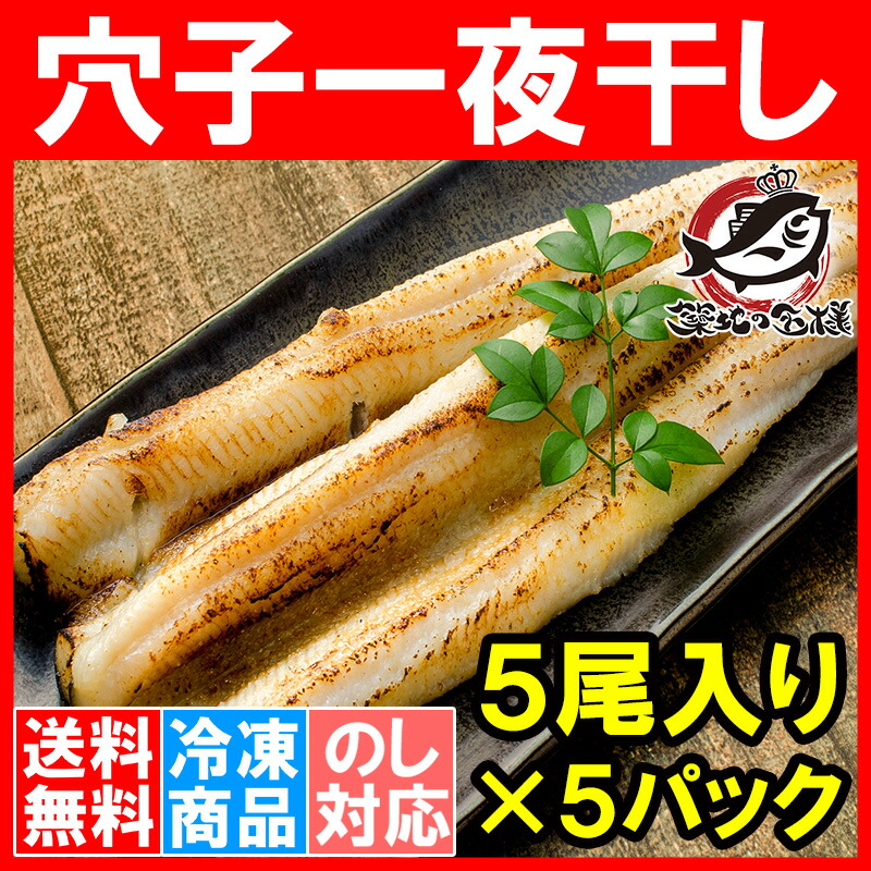 送料無料 穴子 あなご アナゴ 穴子ワンナイト干し 5テール出入口 5詰める 特大33cm前後 活〆 一夜干し 煮あなご 煮アナゴ 煮穴子 穴子丼鉢 あなご丼 白焼き 厚顔鮨 蒲焼き 焼酎蒸し お手 技巧 豊洲証券業界 手みやげrn Chspandc Org Au
