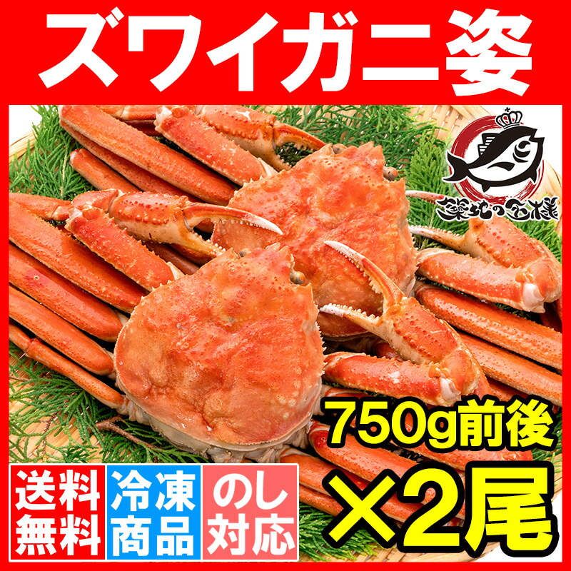 市場 送料無料 ズワイ蟹 本ズワイガニ 冷凍ゆでがに 750g前後×2尾 解凍するだけでＯＫ ズワイガニ ボイル冷凍