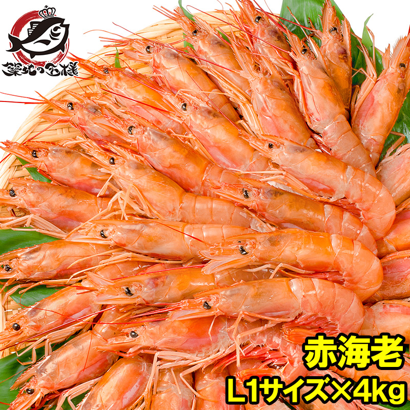 送料無料 赤海老 赤えび 4kg 超特大 L1 40尾 業務用 2kg 2箱 4kg お刺身用 ぼたん海老を超える希少な超特大 大きくプリプリの赤 海老は甘みが違う 赤えび 赤エビ あかえび アカエビ アルゼンチン 寿司 バーベキュー 築地市場 豊洲市場 Smtb T Rn Sobolewscy Pl