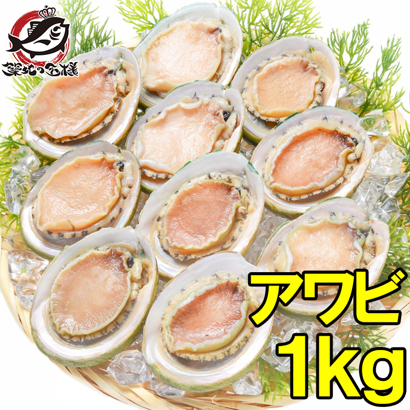 楽天市場 送料無料 あわび Lサイズ 1kg 1箱12個入り 殻つきお刺身用アワビ 高級料亭でも使用する新鮮な殻付きあわび あわび アワビ 鮑 お造り バター焼き ステーキ おせち 翡翠の瞳 貝柱 築地市場 豊洲市場 寿司 海鮮 ギフト Rn うに カニ まぐろなら築地の王様