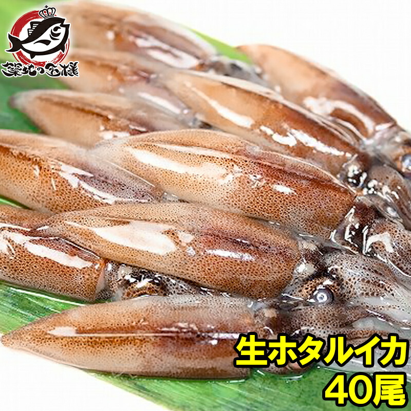 楽天市場 生ホタルイカ ほたるいか 40尾 約150g 2パック お刺身ｏｋ 新物ほたるいか シーズン最盛期 富山産ほたるいかは大きくぷりぷりの食感 いか イカ ほたるイカ ほたるいか 蛍烏賊 刺身 烏賊 築地市場 豊洲市場 ギフト Rn うに カニ まぐろなら築地の王様