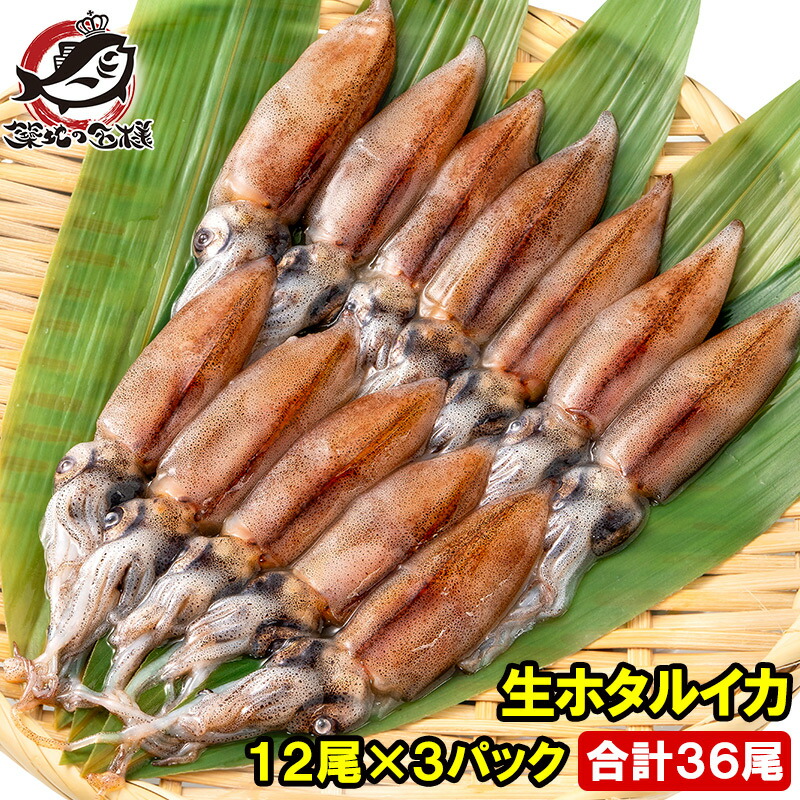お見舞い 生ホタルイカ ほたるいか 60尾 約150g 3パック お刺身ｏｋ 新物ほたるいか シーズン最盛期 富山産ほたるいかは大きくぷりぷりの食感 いか イカ ほたるイカ 蛍烏賊 刺身 烏賊 築地市場 豊洲市場 ギフト Mo2 Sakura Ne Jp