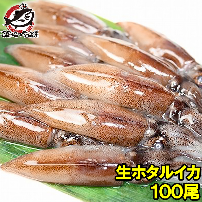 品質のいい 送料無料 生ホタルイカ ほたるいか 100尾 約150g×5パック お刺身ＯＫ 新物ほたるいか シーズン最盛期 富山産ほたるいかは大きくぷりぷりの食感  いか イカ ほたるイカ 蛍烏賊 刺身 烏賊 築地市場 豊洲市場 ギフト turbonetce.com.br