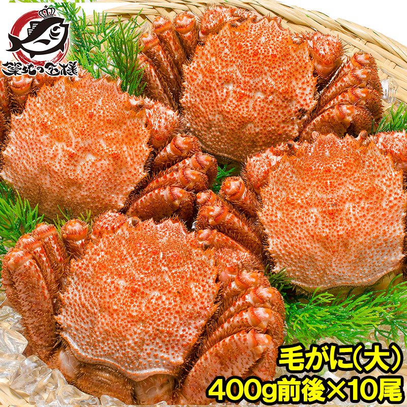 約1.16kg！　信頼と実績の大きさ！【どデカっ！ 船凍 巨大毛がに】1円スタート 贈答にもお使い頂けます。 1.16kg！ 信頼と実績の大きさ！どデカっ！ 船凍 巨大毛がに ラスト