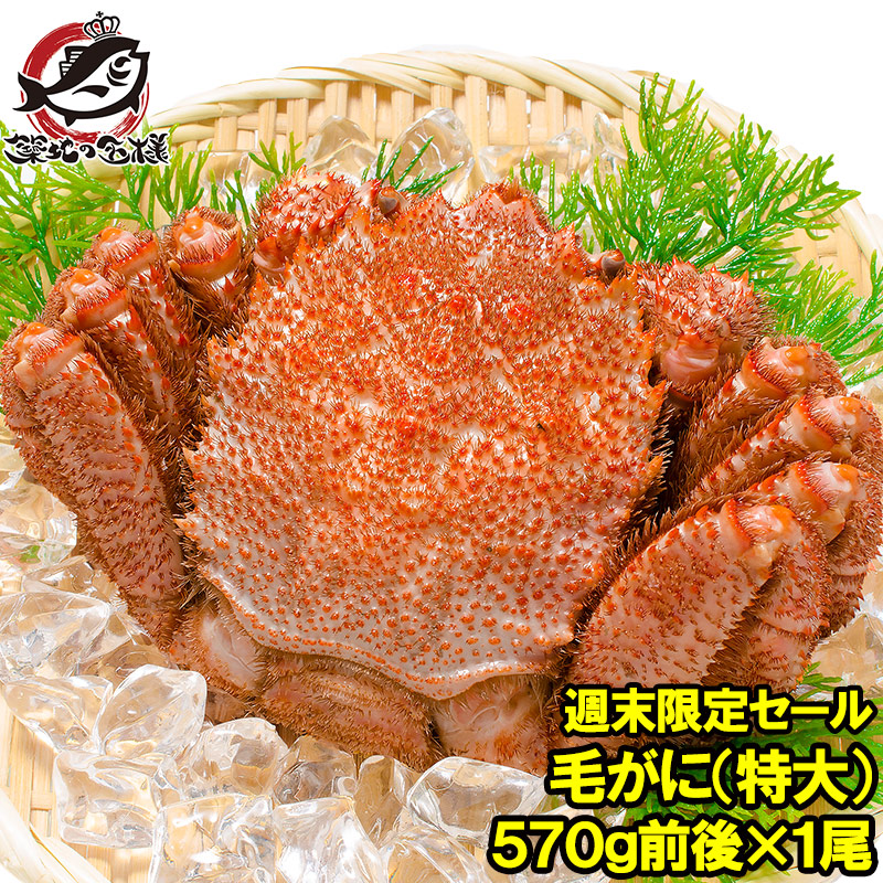 kegani-gentei.jpg