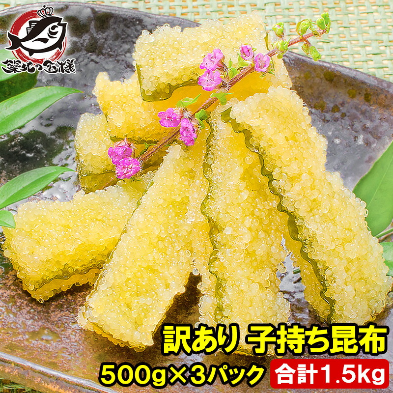 送料無料 訳あり 子持ち昆布 切り落とし 味付け両面子持ち昆布 500g&times;3パック 合計1.5kg 上品な白醤油味でさっぱりとした高級感。塩抜き不要 子持昆布 天然子持ち昆布 数の子 こんぶ 串揚げ フライ 珍味 おせち料理 単品おせち 寿司ネタ 築地市場 豊洲市場 ギフト｜うに カニ まぐろなら築地の王様