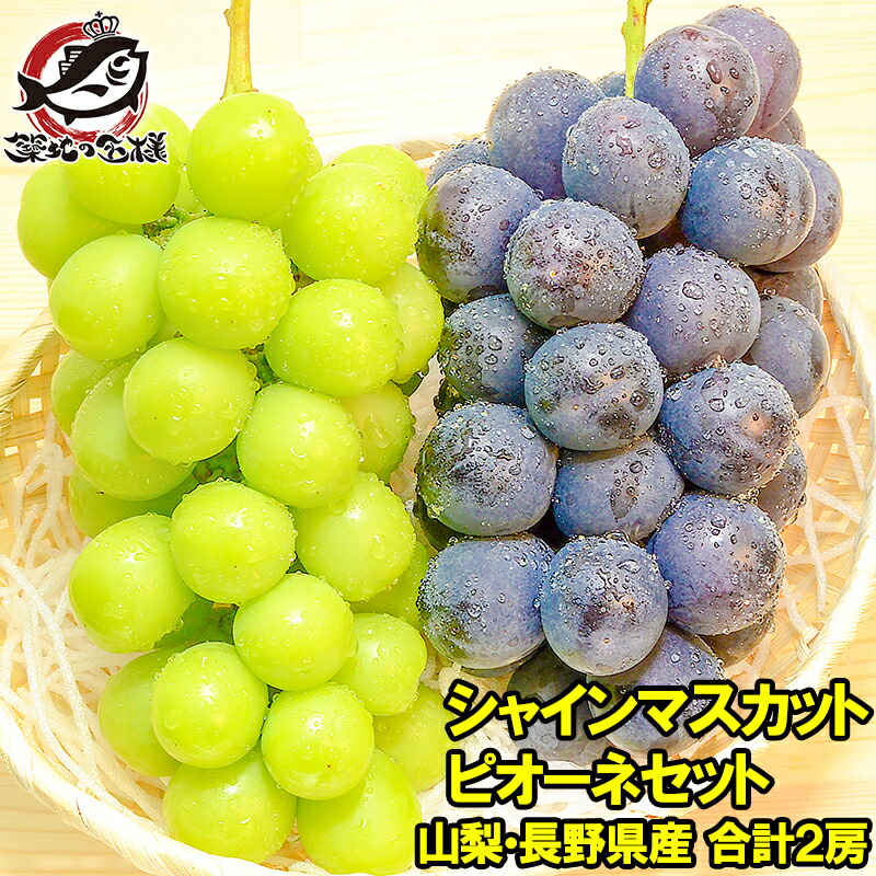 【☆KIRA☆】葡萄詰合せ2箱  黄甘 巨峰 ピオーネ各6房 ☆KIRA☆】葡萄詰合せ2箱 黄甘 巨峰 ピオーネ各6房 楽天市場】