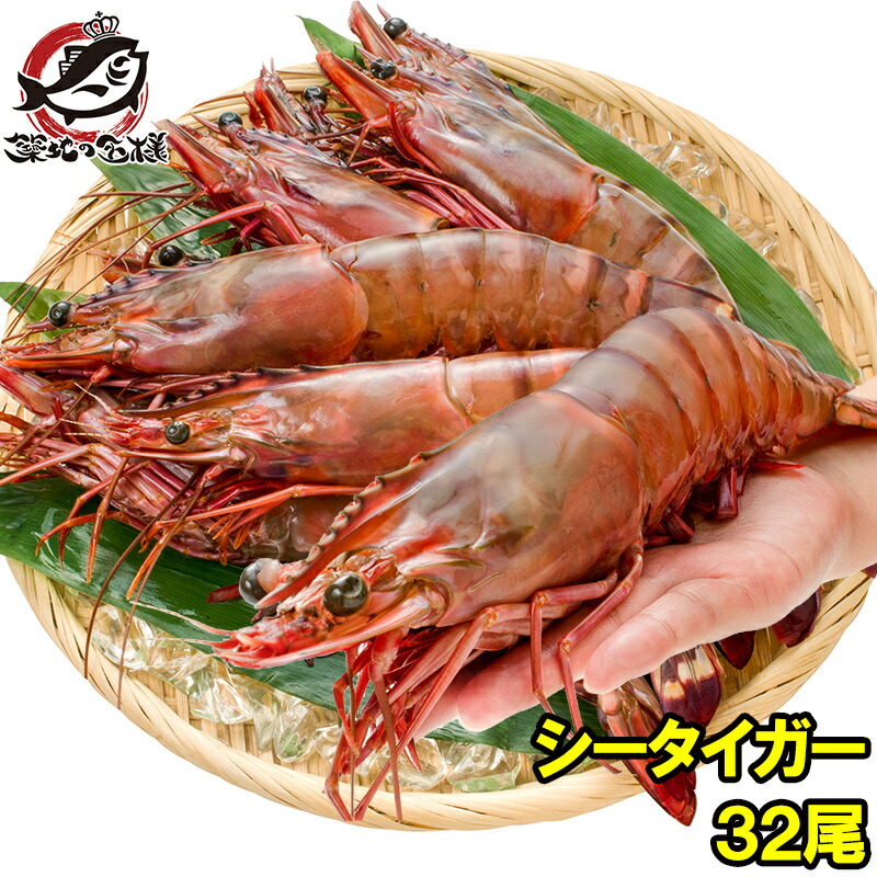 人気絶頂 楽天市場 送料無料 シータイガー 32尾 約30cm 1 5kg 4箱 天然 特大 超特大 エビ えび 海老 加熱用 冷凍 q バーベキュー 冷凍海老 ジャンボ エビフライ 海老フライ 天ぷら 巨大 築地市場 豊洲市場 業務用 ギフト うに カニ まぐろなら築地の王様 最新コレッ