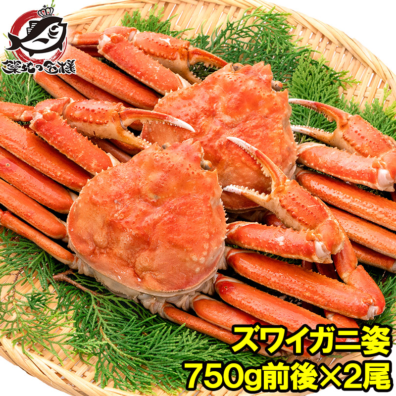 かに ボイル ずわいがに 食品 冷凍便 カットミックス 750g