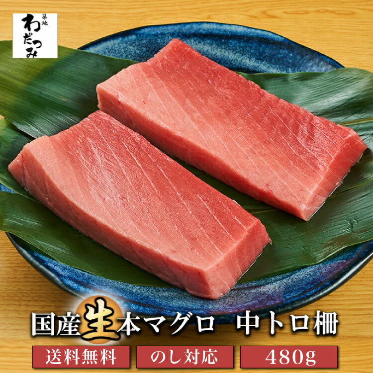 【送料無料 】  父の日 ギフト 本マグロ 生マグロ 中トロ柵 セット 480g 国産 マグロ 刺身 まぐろ たたき 鮪 お取り寄せ 国産まぐろ 刺し身 マグロ丼 海の幸 まぐろ丼 お刺身 父の日 ギフト グルメ 冷蔵 トロ 高級 贈り物 ごちそう 高級食材 贈答 熨斗 のし 誕生日