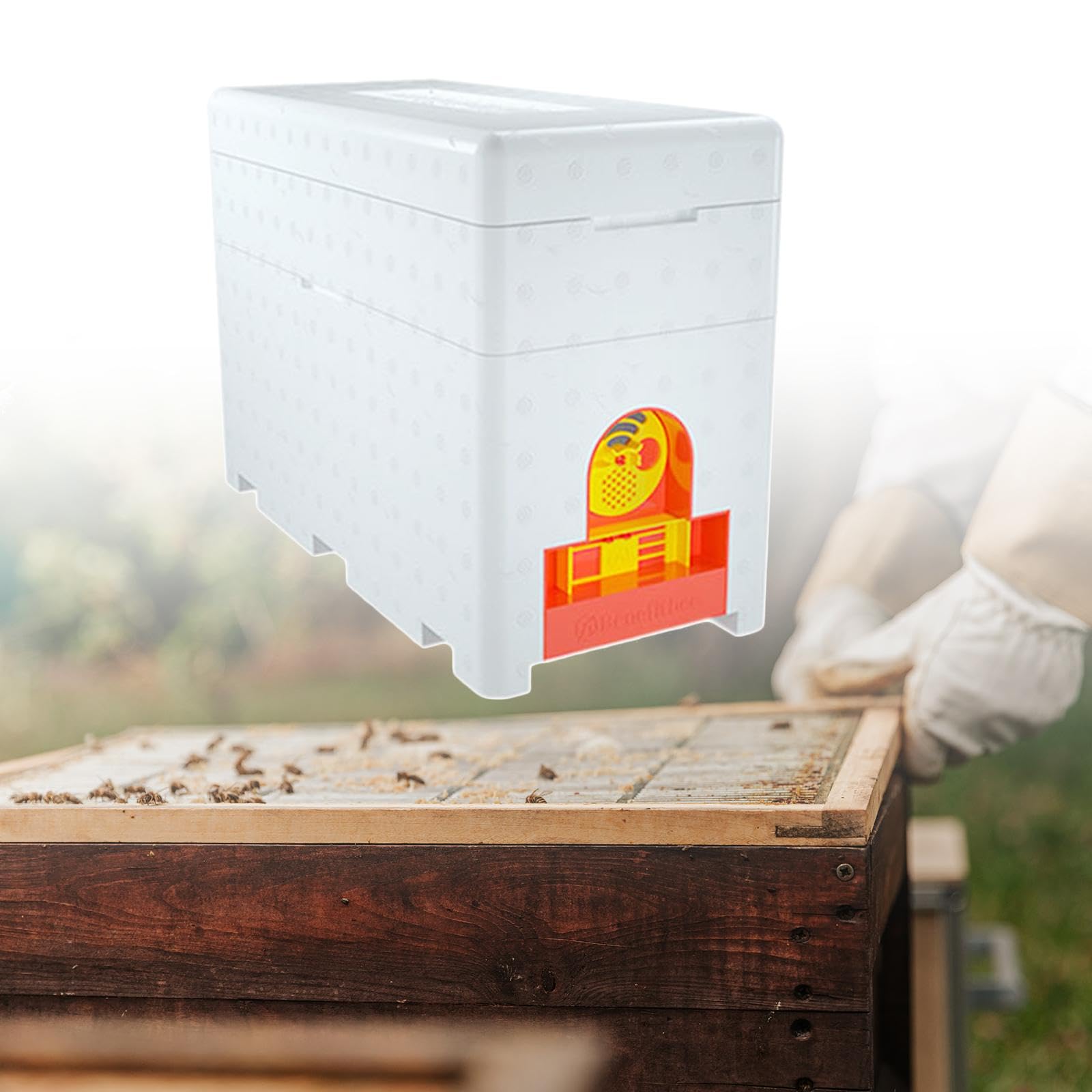 楽天市場】ニホンミツバチ捕獲箱用：『巣枠（5枚セット）』*（石田式