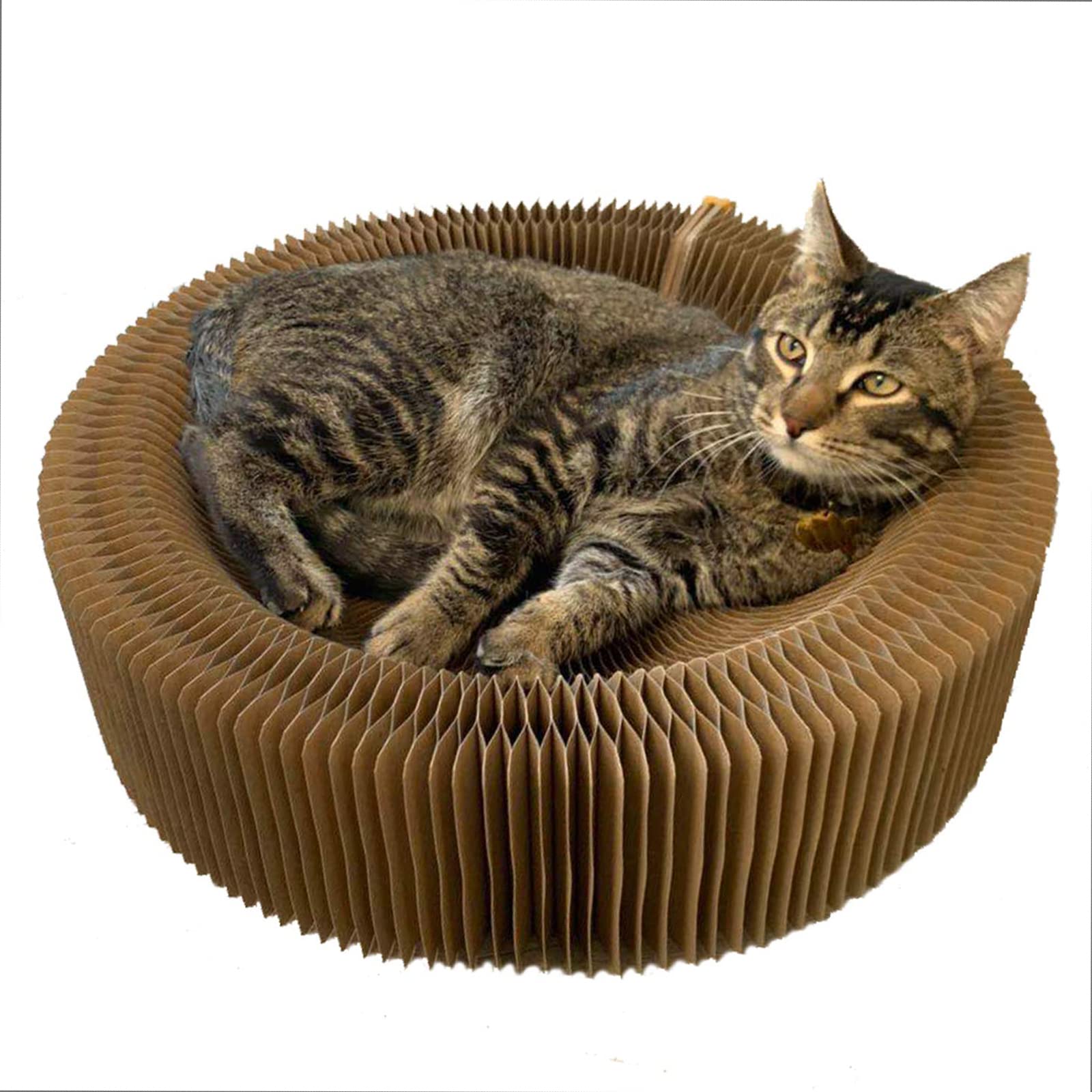 猫用爪とぎ 寝台 段ボール つめとぎ キャットハウス うつり変わり能力のある 折りたたみ式 循環 猫 長いす 手あそび 愛玩動物装置