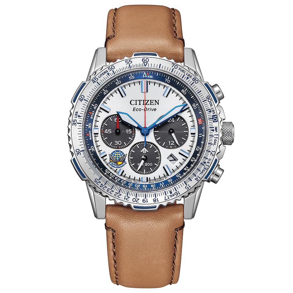 楽天市場】国内正規品 ブルーインパルス限定モデル900本 プロマスター