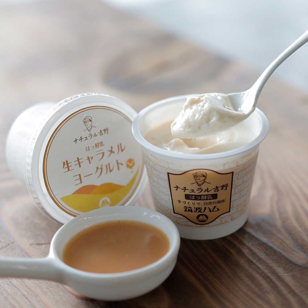 Caramel yogurt