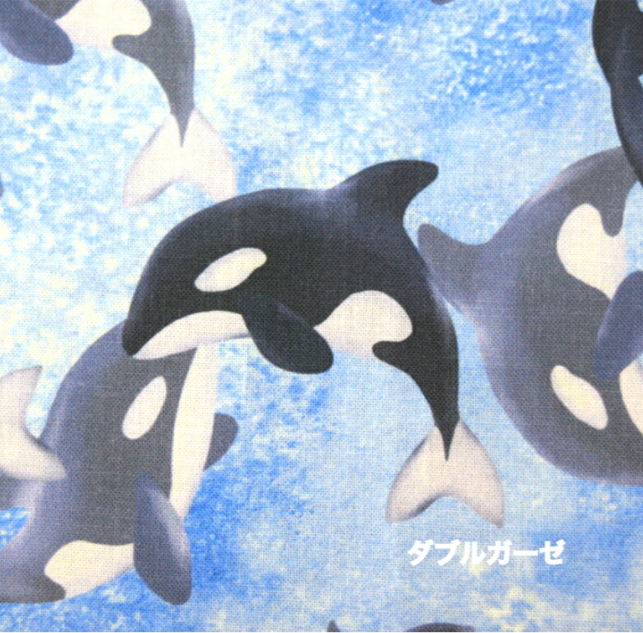 シャチ　歯　牙　希少品　骨董品　クジラ　イルカ　ハンドメイド 真鯱 (@yoshimasyachi) / X