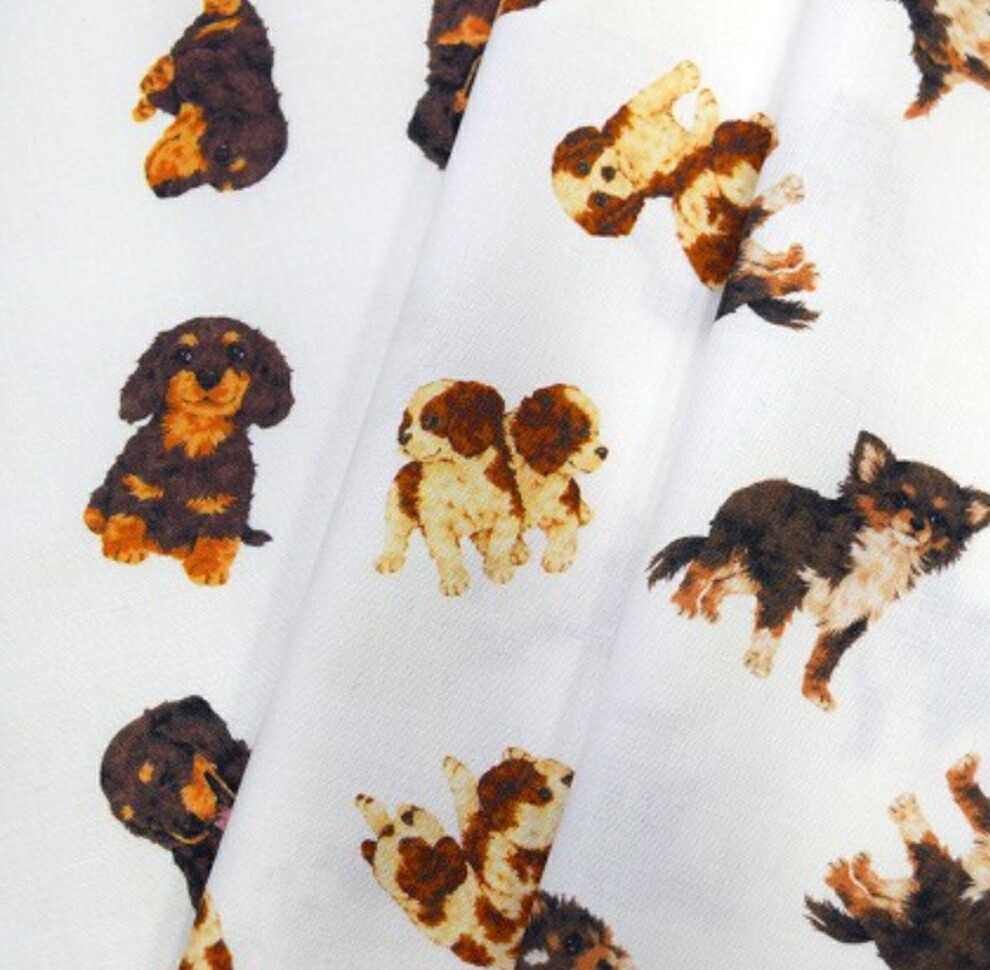 パネル生地　犬柄　コミック風ダックス　先着6枚　11/30 生地 布 入園入学 北欧風 コットン⁄幅109cm ≪ Playing