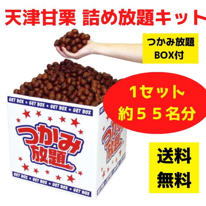 天津甘栗 つかみ放題キット 約55名分 【栗 甘栗 天津甘栗 秋の味覚 旬の味覚 販促品 プレゼント イベント 景品 送料無料 お祭り 集客 配布 つかみどり つかみ取り 詰合せ 詰め合わせ ギフト ノベルティ 粗品 子供会 町内会 縁日 業務用 お得なセット イベントキット】